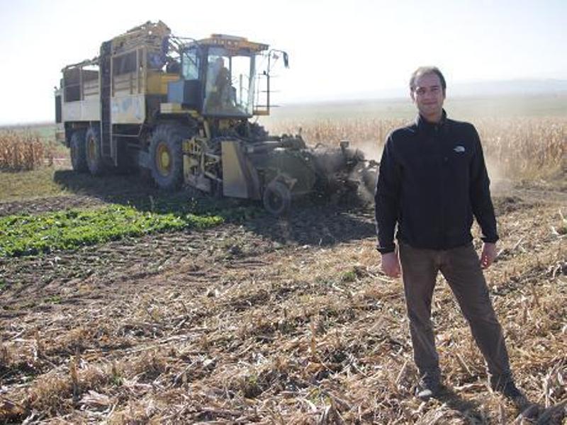 Doi tineri din Germania se imbogatesc cultivand pământul lăsat pârloagă de români.