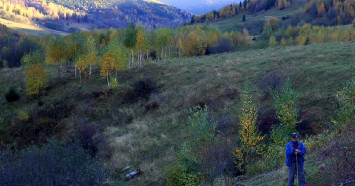După mai mult de un deceniu. Sentinţă istorică în dosarul retrocedării a 10.000 de hectare din Retezat către două austriece