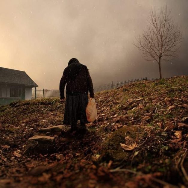 Fărâmă de suflet. Învaţă-l pe copil să fie bun, înainte de a-l învăţa să fie talentat! Învaţă-l să dea, înainte de a cere.