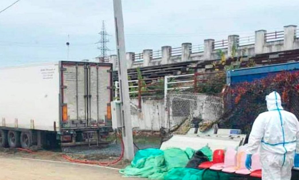Imaginile groazei la Timişoara! Rudele persoanelor decedate cu noul VIRUS îşi identifică morţii pe stadion. Cadavrele sunt urcate într-o remorcă de TIR