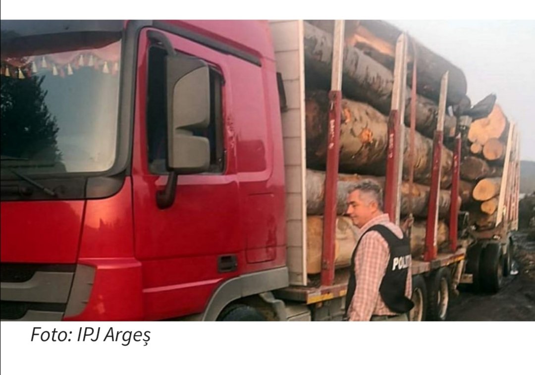 Primar PSD din Argeș a fost prins la volanul unui camion cu lemne furate
