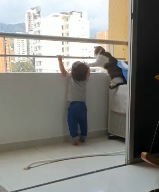 Animalele sunt o binecuvântare. O pisică îndepărtează un copil de balustrada unui balcon. VIDEO