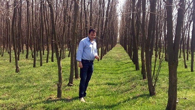 Fermier amendat de Garda de Mediu după ce a plantat 40.000 de copaci