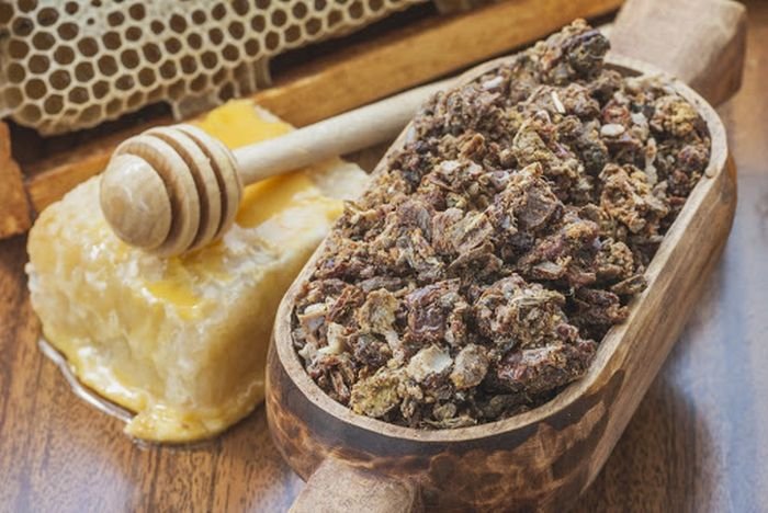 MIRACOLUL DIN PROPOLIS: 30 DE TIPURI DE VIRUSURI DISTRUSE, INCLUSIV VIRUSUL GRIPAL