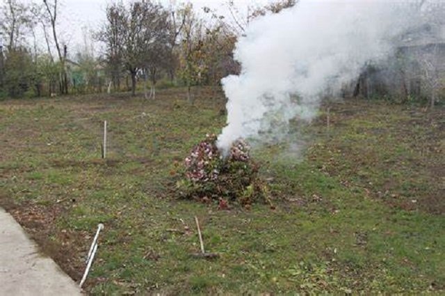 Amendă de 800 de lei pentru cine pune la gunoi frunzele sau da foc la uscate frunzele din curte.