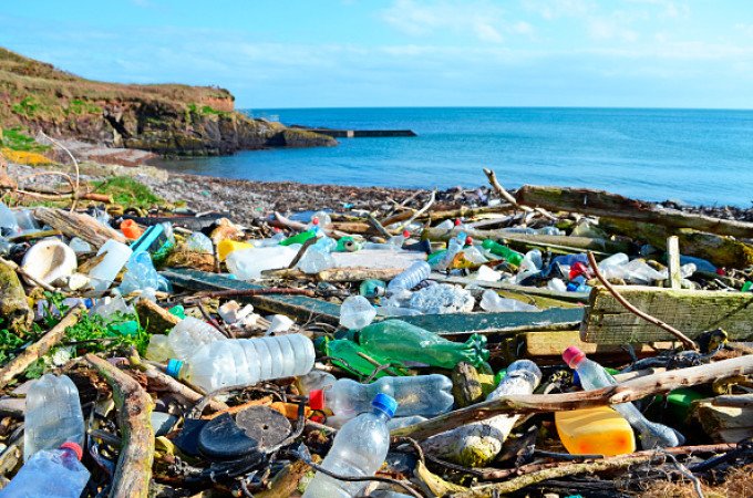 Dezastrul ecologic in Dobrogea. Aici se găsesc aproape 100 de specii de păsări protejate la nivel european.
