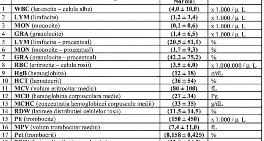 Tabelul care te ajuta sa iti descifrezi singur buletinul de analize medicale