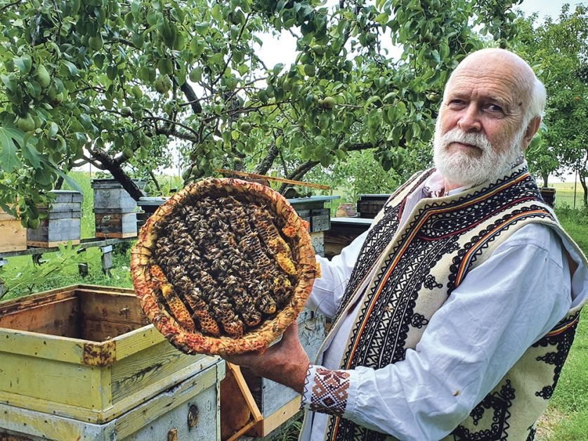 Povestea unui apicultor: „Daca as fi intrebat care este cel mai bun lucru pe care l-am facut in viata, as spune: albinele pe care le-am crescut. Mierea pe care am cules-o din flori..”