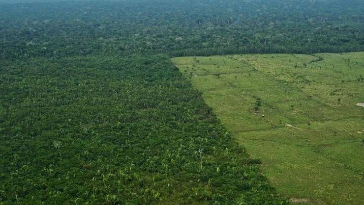 Defrișări record în pădurile din Amazonia în luna aprilie