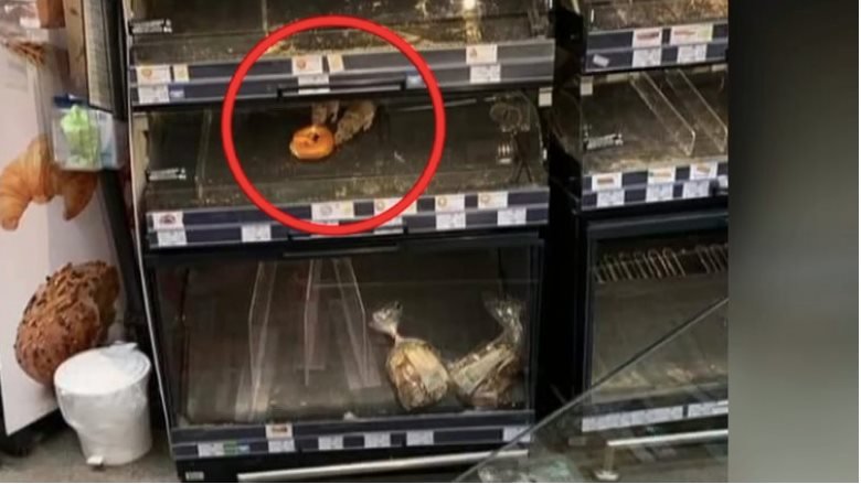 Imagini REVOLTĂTOARE dintr-un supermarket Mega Image. Sobolanii mănâncă de pe rafturi. Care este reacția magazinului