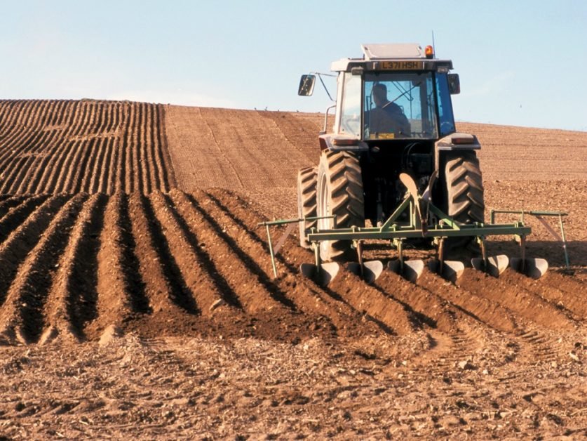 Agricultura românească, în moarte clinică. „Producătorul român a fost atacat într-o manieră brutală din 2007, când am devenit membri ai UE”. Ungaria și Bulgaria, exemple de bune practici