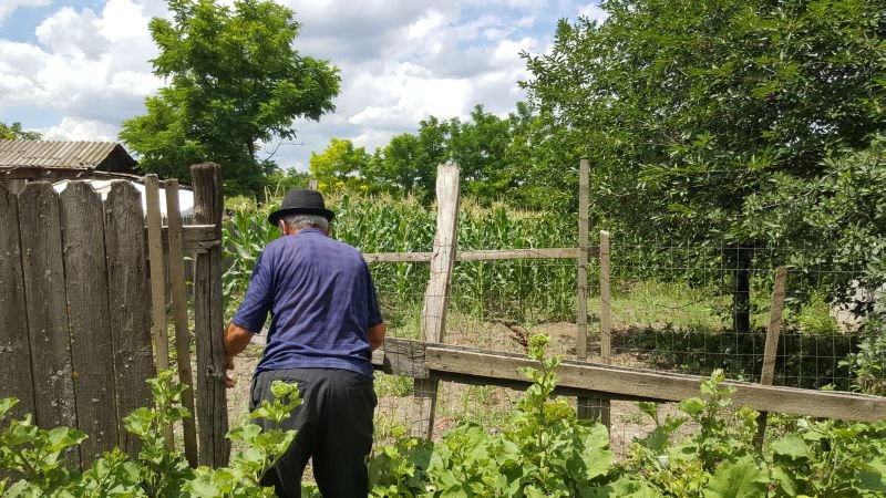 STUDIU: Locuirea în oraşe face oamenii bolnavi mintal, în timp ce locuirea la ţară îmbunătăţeşte sănătatea şi prelungeşte viaţa
