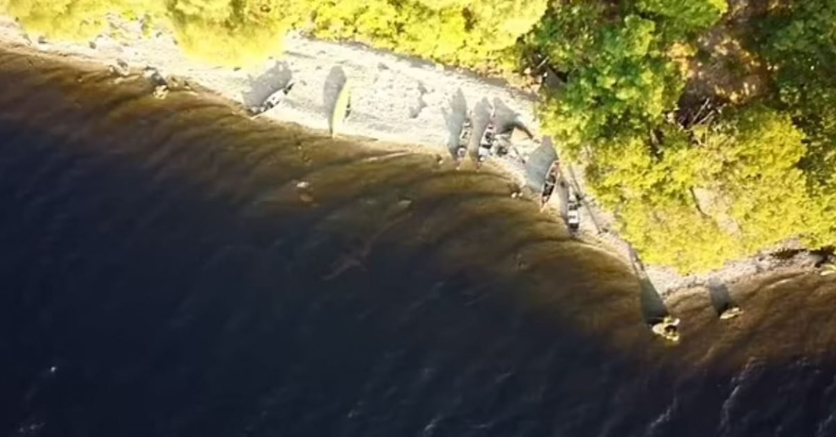 Monstrul din Loch Ness, filmat cu o dronă! Creatura enormă, surprinsă de un turist în apele agitate ale lacului scoțian