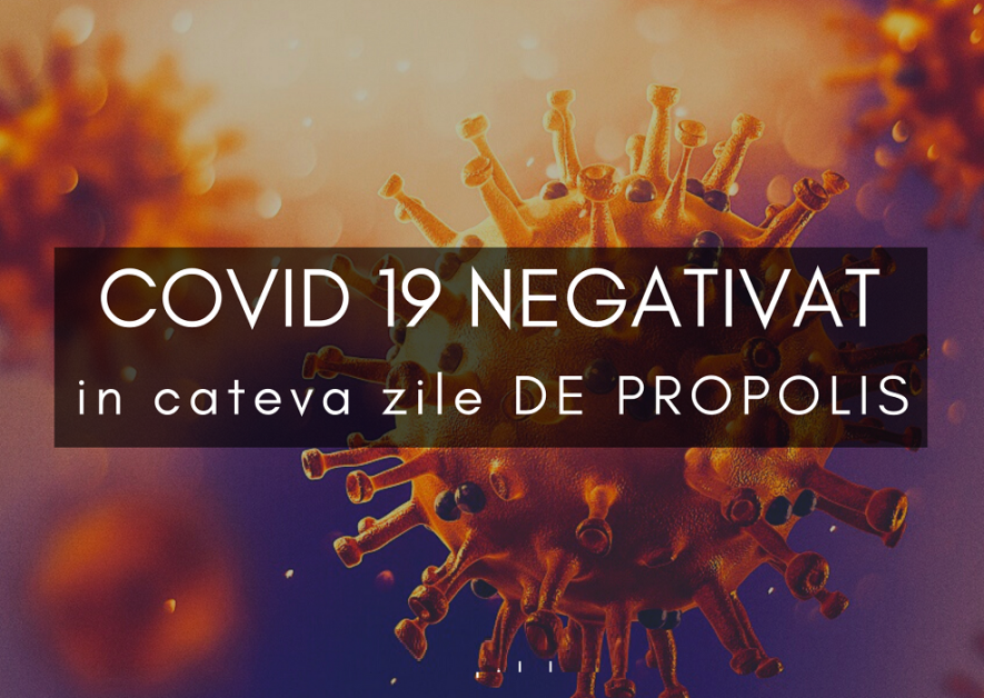 Propolisul câstigă lupta cu virusul. Negativat în câteva zile de propolis. Testele de laborator confirmă! Studii si cercetari recente