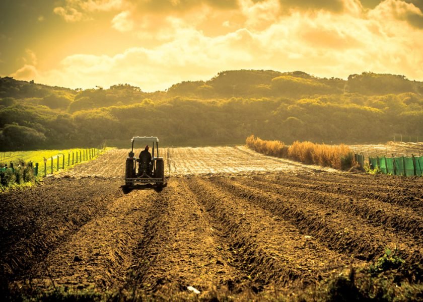 Pământul românesc, o mană cerească în condițiile crizei alimentare și energetice mondiale. Dar nu pentru români…
