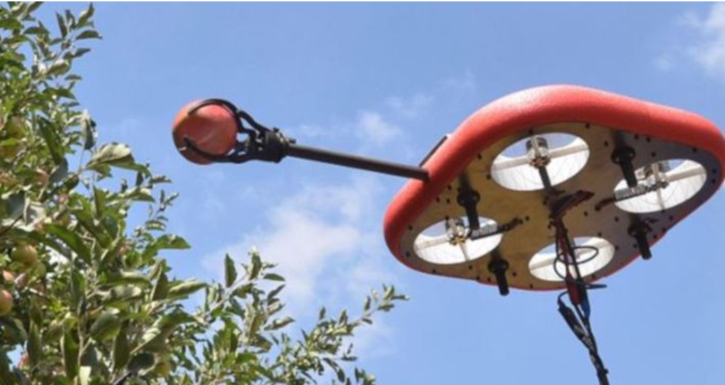 Roboții care culeg fructe, viitoarea „mână de lucru” în agricultură