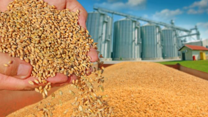 România a exportat în 2022 cea mai mare cantitate de cereale din istorie