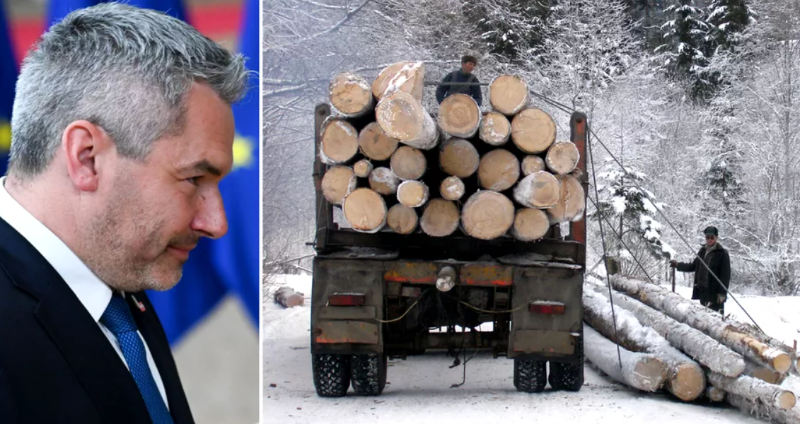 ANAF i-a executat pe austriecii de la Schweighofer pentru practici neconcurențiale. Compania susține că a plătit deja un milion de euro