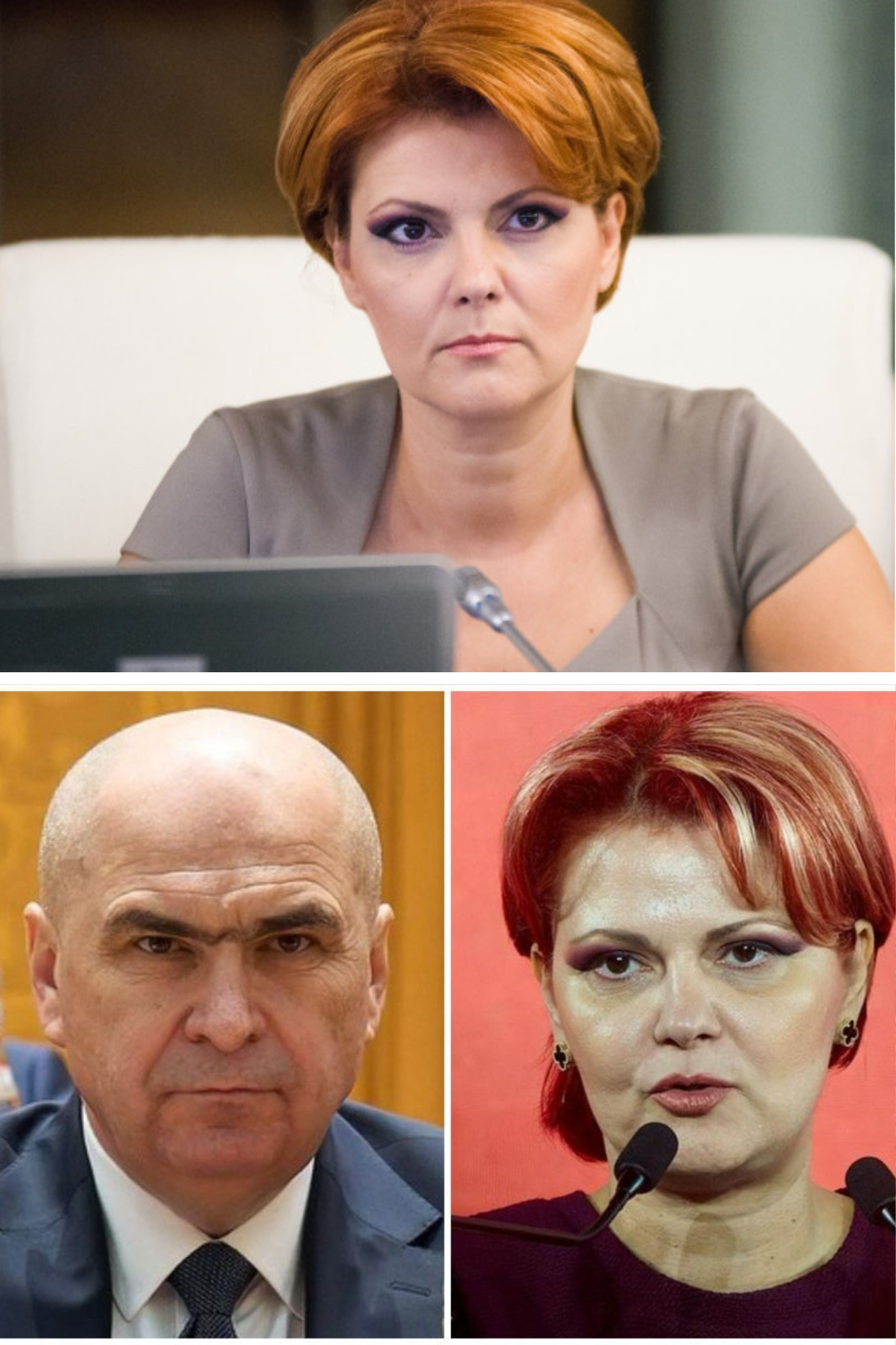 Lia Olguța Vasilescu, mesaj către pensionari