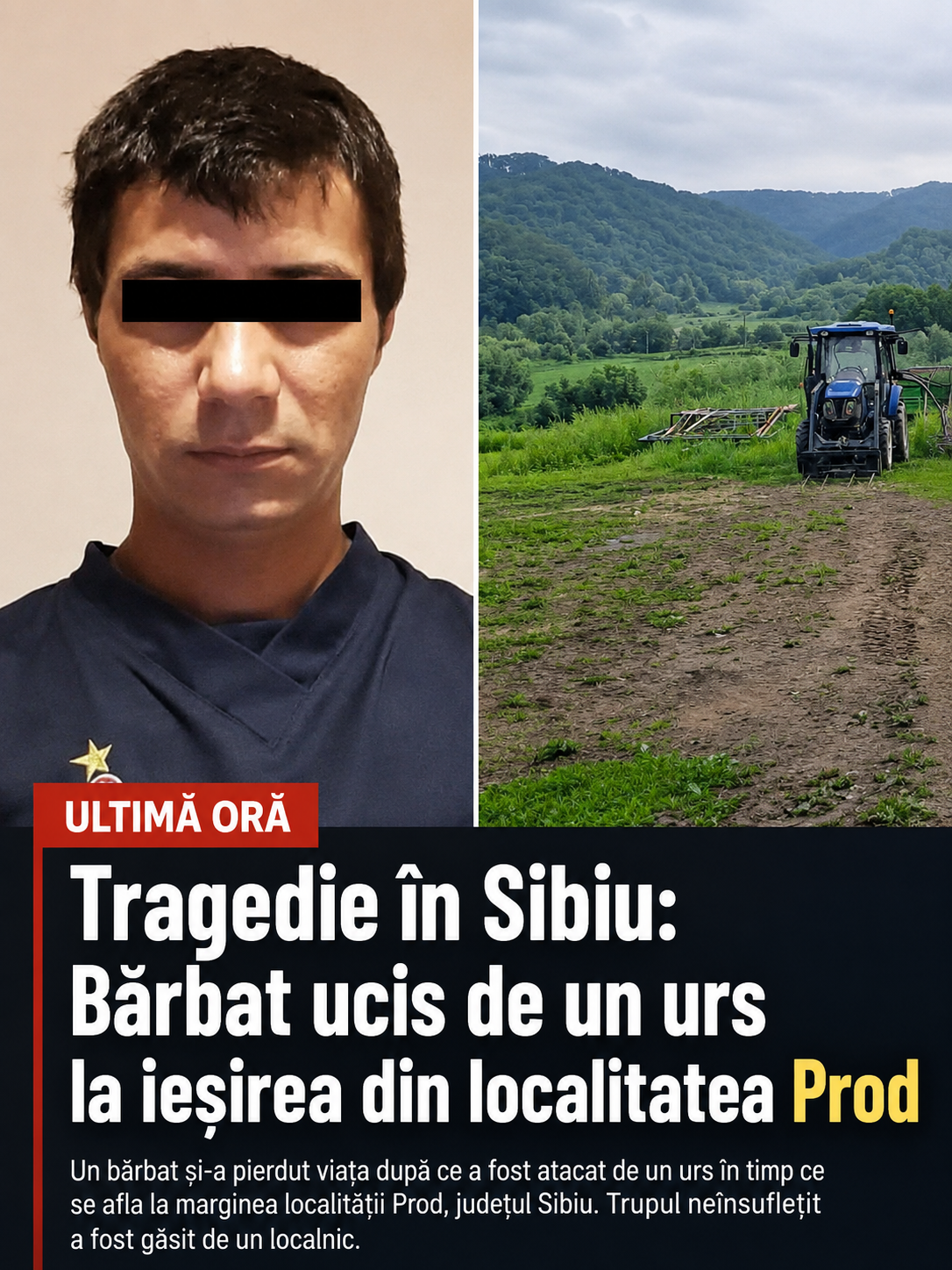 Bărbat ucis de un urs la ieșirea din localitatea Prod