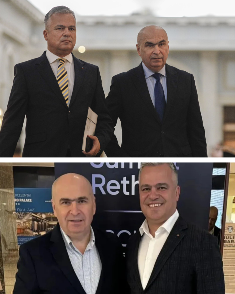 Ruptură la vârful PNL