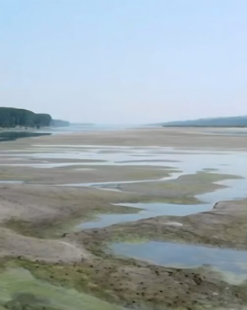Podul roman al lui Constantin, scos la iveală de seceta Dunării