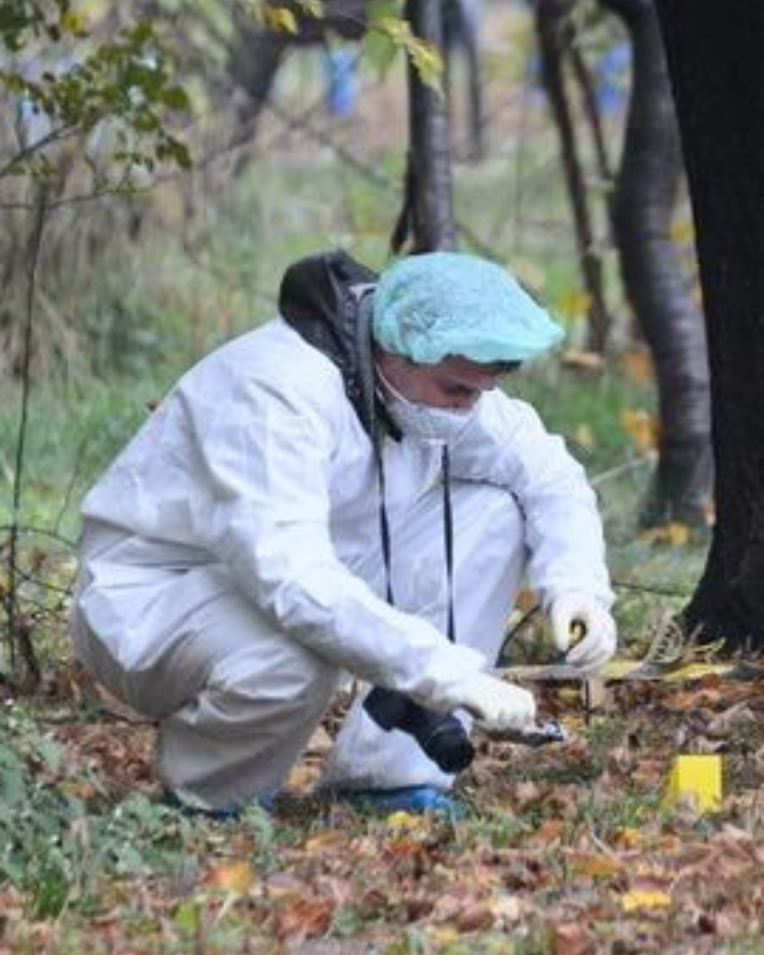 48 de saci cu rămășițe umane, găsiți în Zapopan. Ancheta continuă