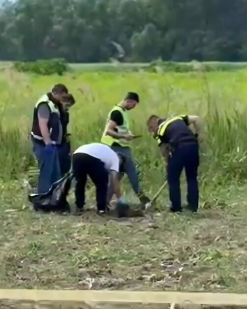 Oseminte umane găsite pe un câmp din Maramureș. Ipoteza anchetatorilor