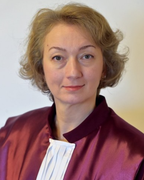 Simina Tănăsescu, opinie separată în cazul Fritz. Ce schimbă asta
