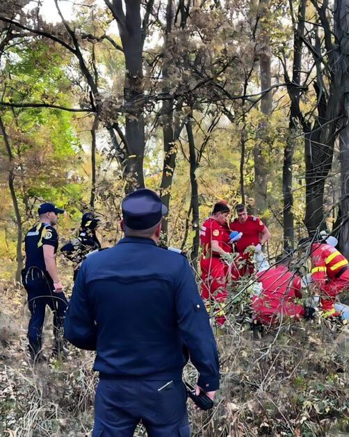 Bărbat de 65 de ani, găsit mort în pădure la Lupeni. Urme de atac de urs