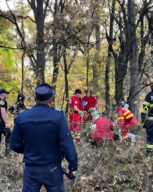 Bărbat de 65 de ani, găsit mort în pădure la Lupeni. Urme de urs pe corp
