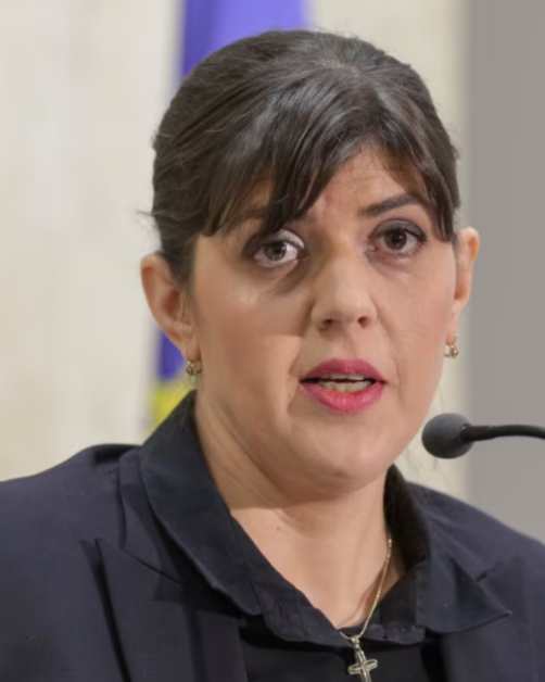 EPPO a percheziționat 19 locuințe în Iași și Timișoara. Fraudă de 7 milioane euro