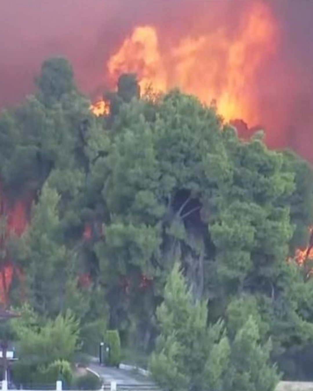 Incendiu în Halkidiki, 14 august 2026. Peste 300 de turiști evacuați