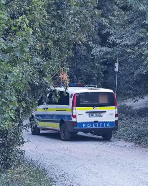 Bărbat de 65 de ani găsit mort în pădure. Suspiciune de atac de urs