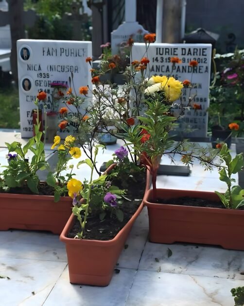 Anca Pandrea, priveghi la Capela Sfânta Vineri. Ultima dorință