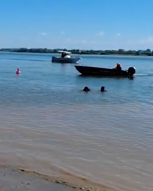 Navă eșuată pe Dunăre lângă Ruse. Traficul fluvial, restricționat