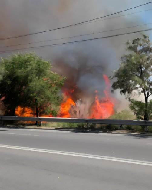 Incendiu de vegetație la Brăila. Traficul, deviat prin Vidin