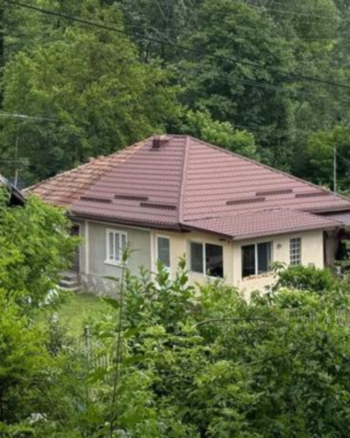 Plaiu, satul din Prahova care se umple de bucureșteni. Case la 28.000 de euro și o liniște care nu se plătește