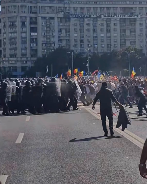 Ciobanii protesteaza: soluția la criza exporturilor e respingere pentru o teama care nu-i justificata