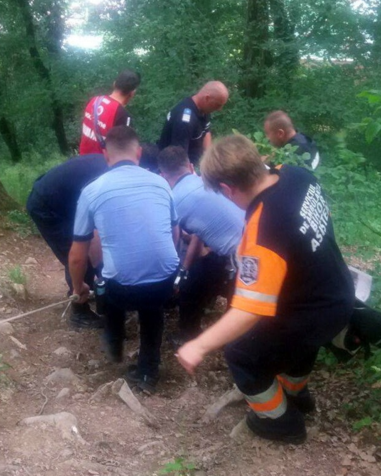 Bărbat atacat de urs în Harghita. Cum reacționează autorități și localnici