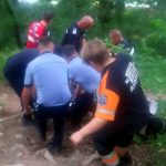 Bărbat atacat de urs într-o pădure din Harghita. Ce urmează acum